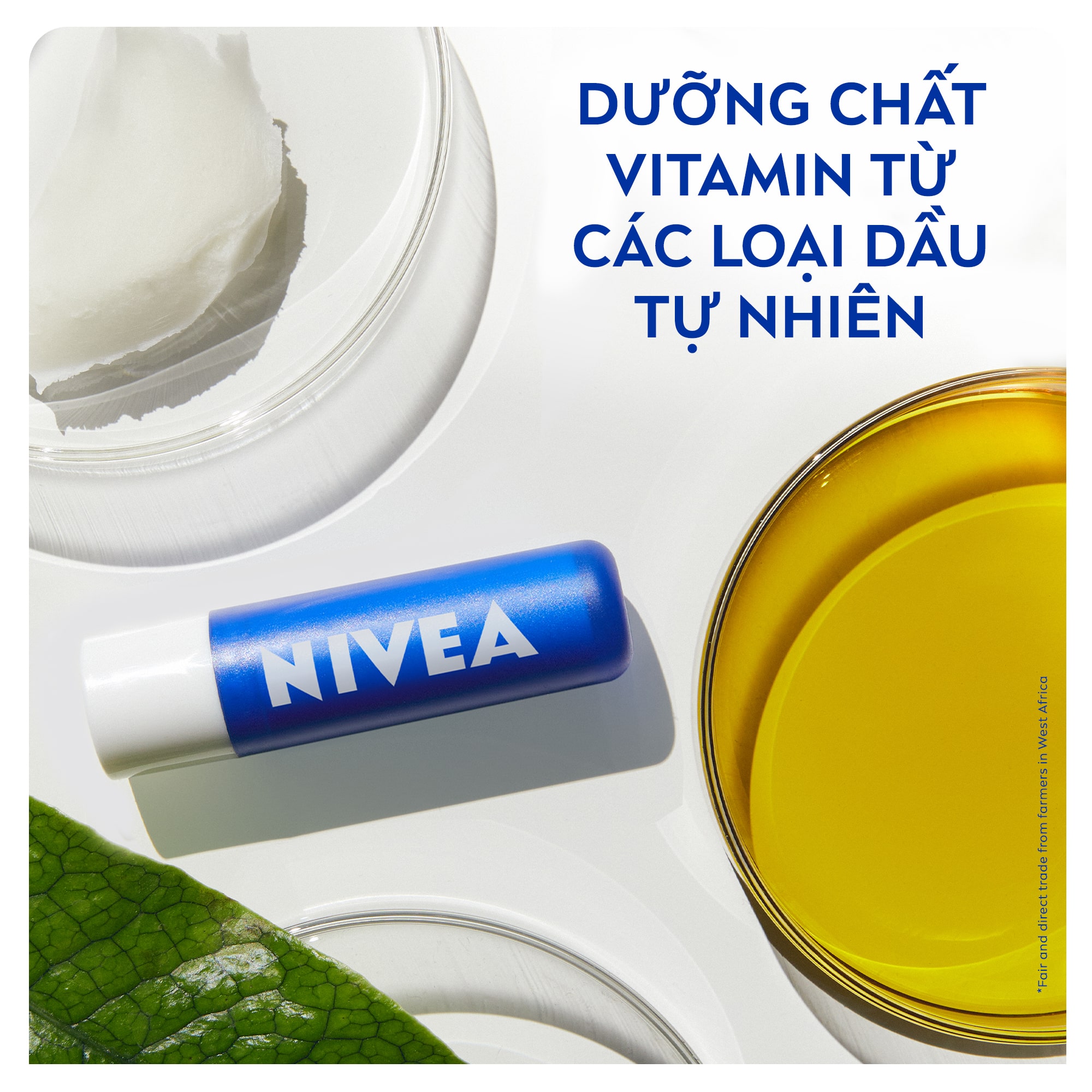 Mô tả Son Dưỡng Chuyên Sâu NIVEA Original Care (4.8 g) - 85061 - 3