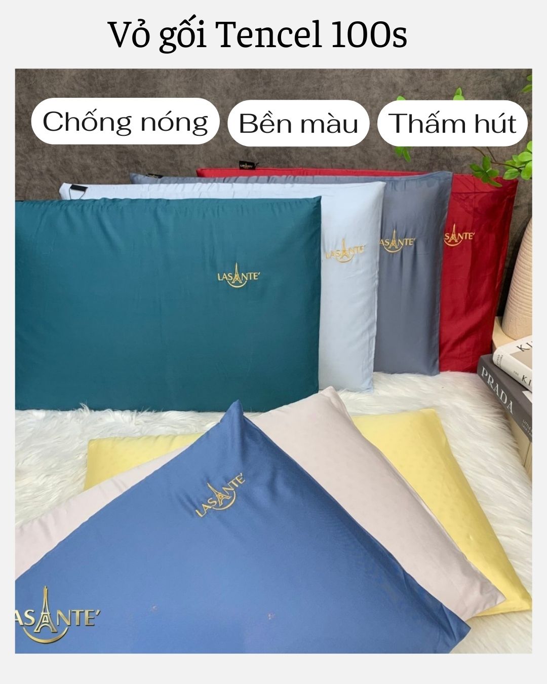 Mô tả Gối Cao Su Thấp 4 Cm Siêu Mỏng Form Phẳng Truyền Thống Lasante Cho Người Nằm Gối Thấp - 7
