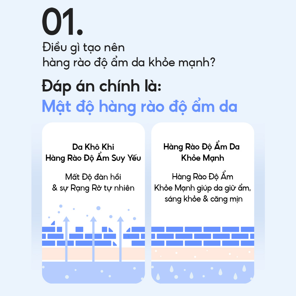 Mô tả Kem Dưỡng Ẩm Sâu 100H & Phục Hồi Hàng Rào Bảo Vệ Laneige Water Bank Blue Hyaluronic Moisture Cream 50ml (Da Khô Xỉn Màu) - 3