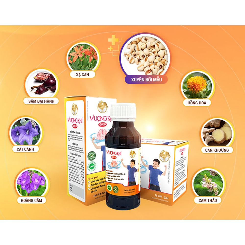 Mô tả Cao Lỏng Vượng Khí Gold Hỗ Trợ Giảm Ho Tiêu Đờm Tăng Đề Kháng Chính Hãng Japa Kids - 2