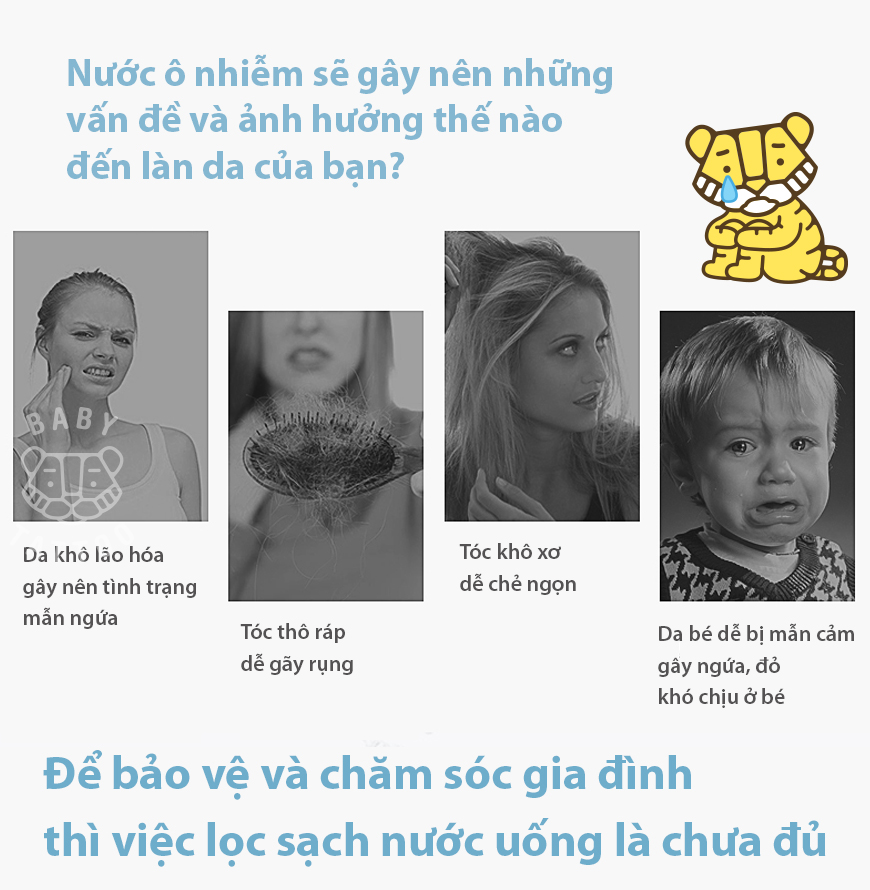 Mô tả Bộ Lõi Lọc PP Type B Cho Vòi Sen Tắm Lọc Nước, Khử Khuẩn BABY TATTOO - 1