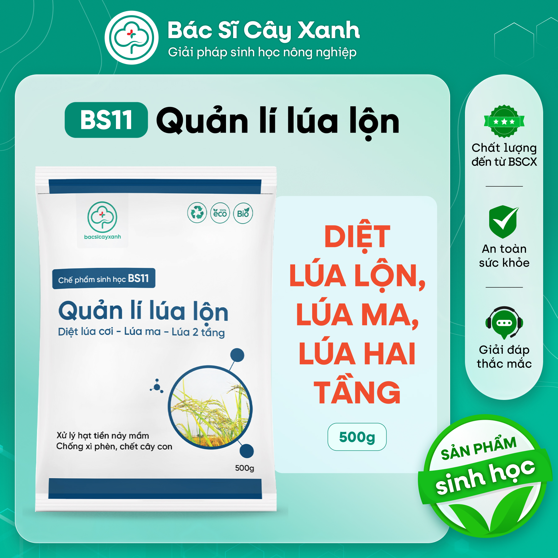 BS11 Quản Lí Lúa Lộn Lúa Cỏ Lúa Ma 500g - Chống Xì Phèn Không Ảnh Hưởng ...