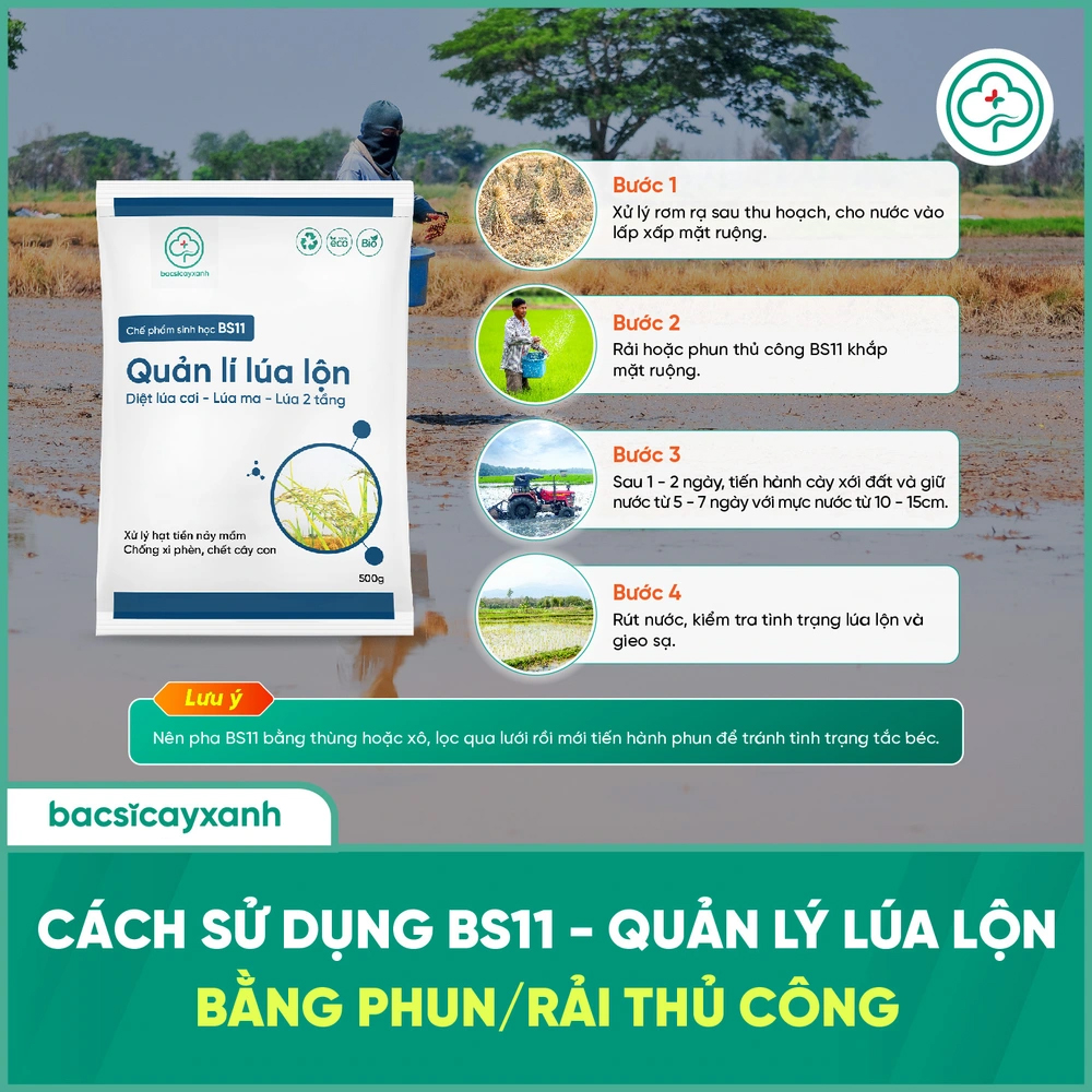 BS11 Quản Lí Lúa Lộn Lúa Cỏ Lúa Ma 500g - Chống Xì Phèn Không Ảnh Hưởng ...
