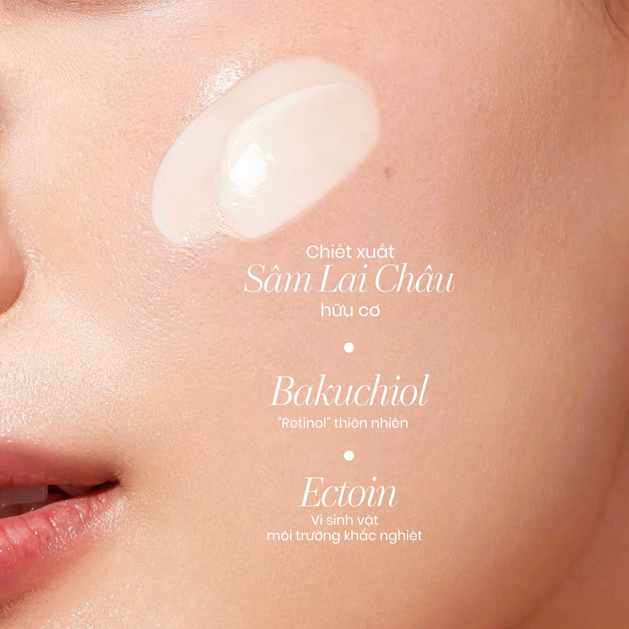 Kem dưỡng ẩm da mặt Sâm 1700 Ngừa Lão Hoá da Giúp Mờ Nếp Nhăn Và Đốm Nâu Cỏ Mềm 50g