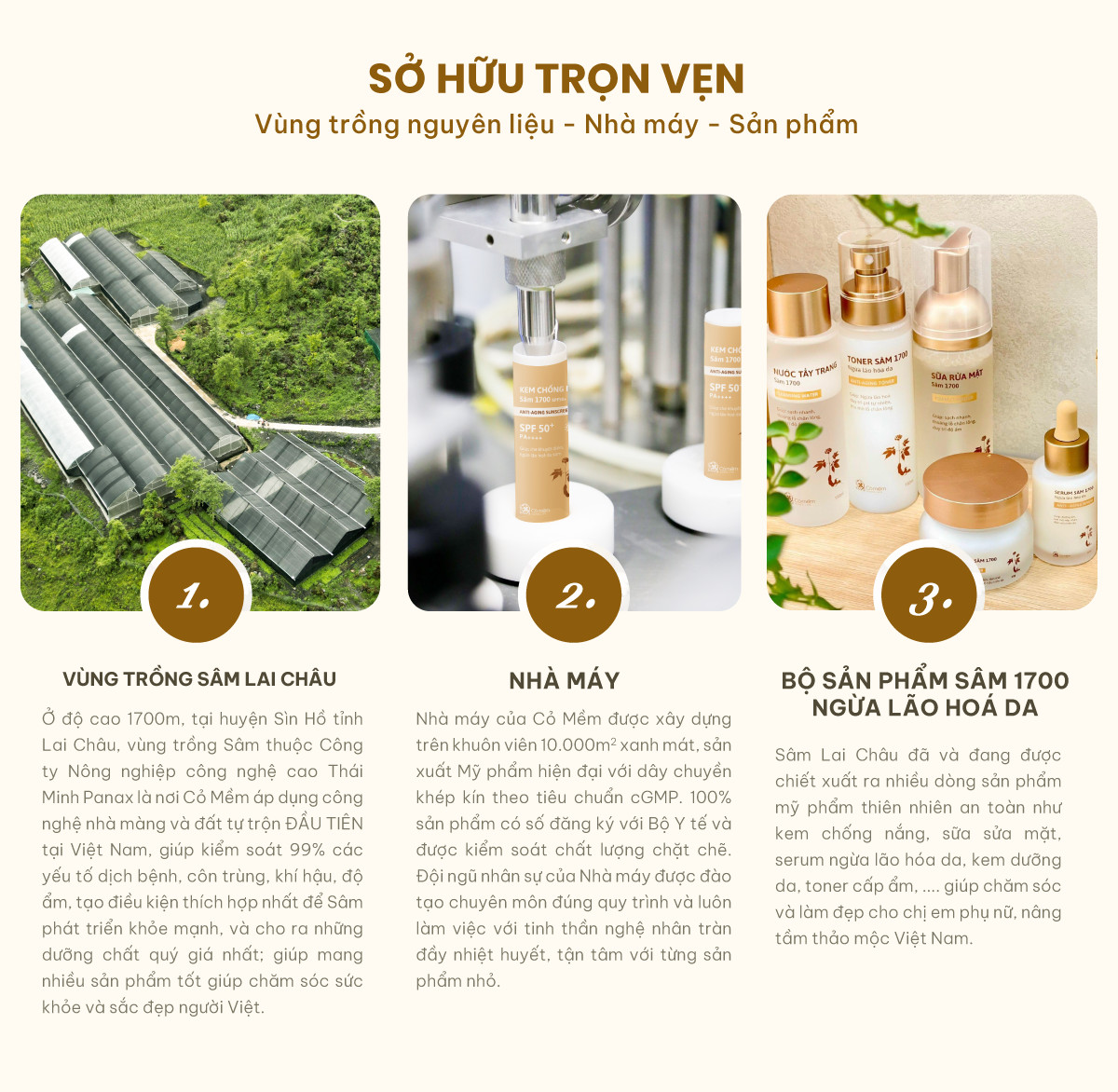 Kem dưỡng ẩm da mặt Sâm 1700 Ngừa Lão Hoá da Giúp Mờ Nếp Nhăn Và Đốm Nâu Cỏ Mềm 50g