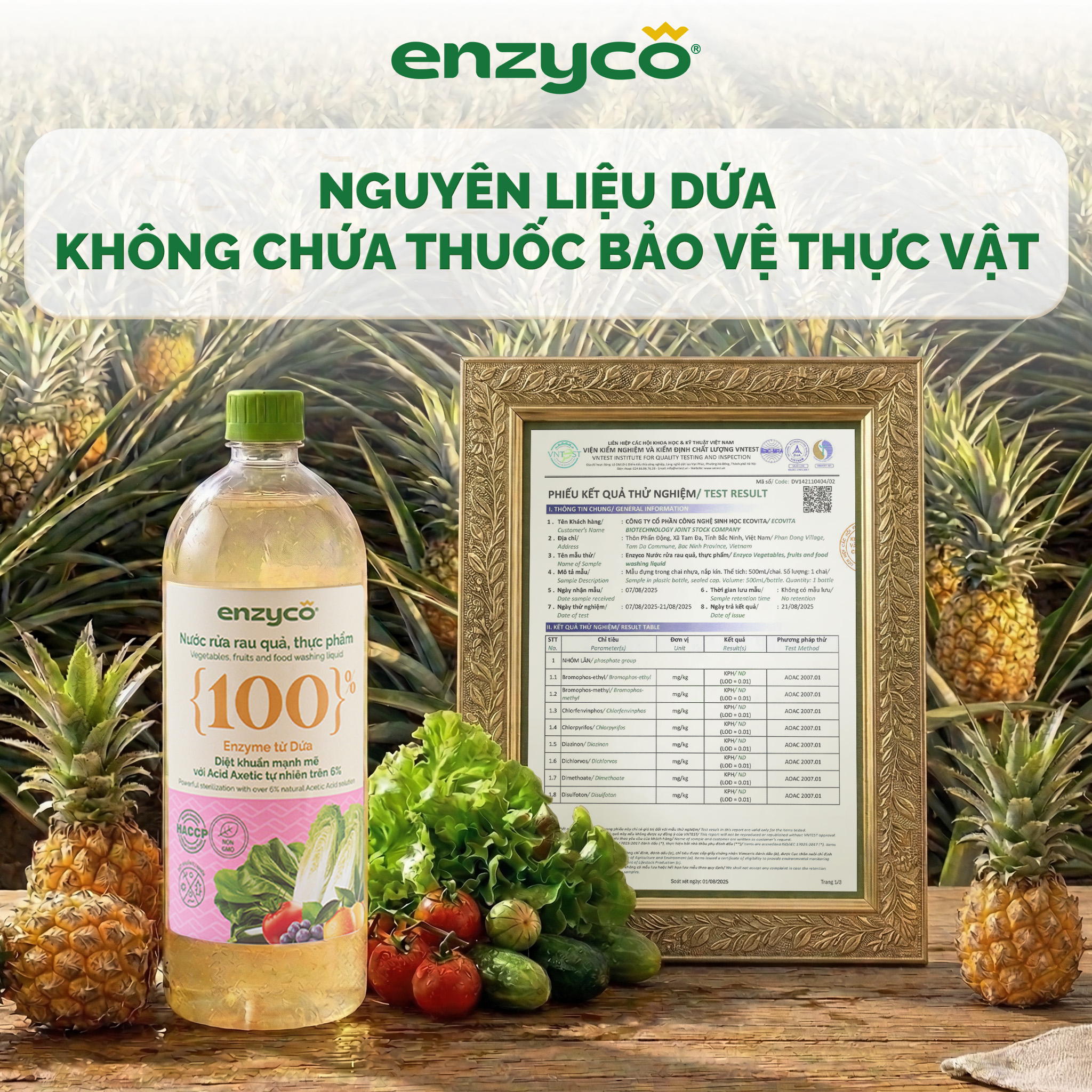 Nước Ngâm Rửa Rau Quả Hữu Cơ Enzyco 1L - Diệt Khuẩn E.Coli & Tụ Cầu ...