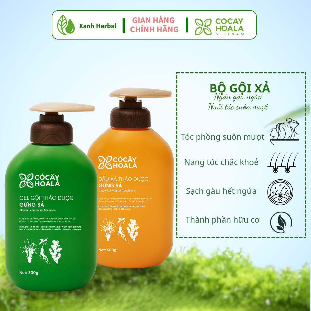 Combo gội + xả gừng sả Cỏ Cây Hoa Lá 500g – Chăm Sóc Tóc,Ngăn Dầu Bết Và Giảm Gàu Ngứa-Xanh Herbal