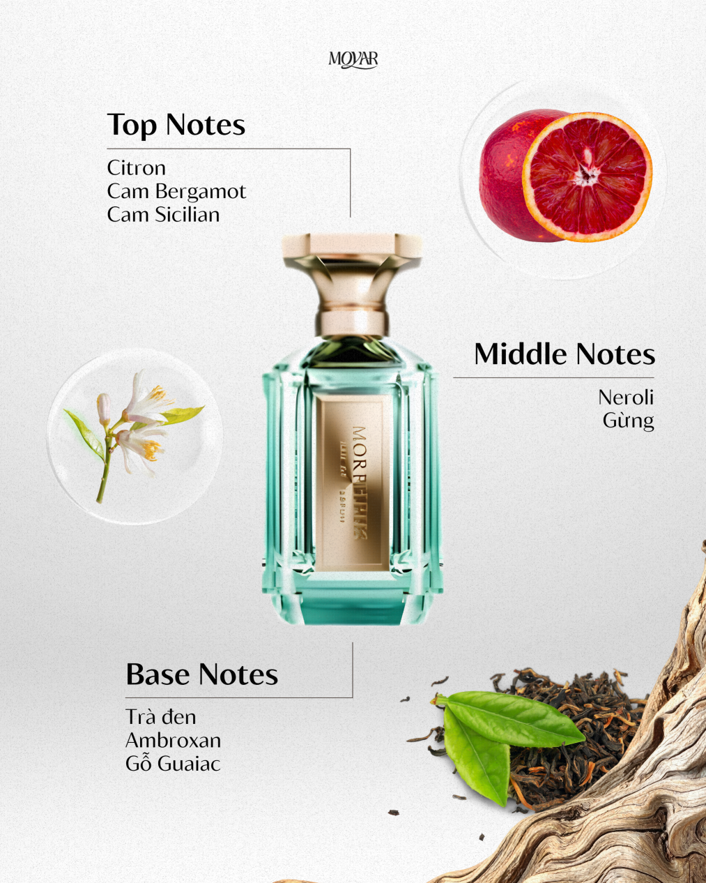 Nước Hoa Velixir Morpheus EDP | Nước Hoa Unisex | Moyar Perfume ...