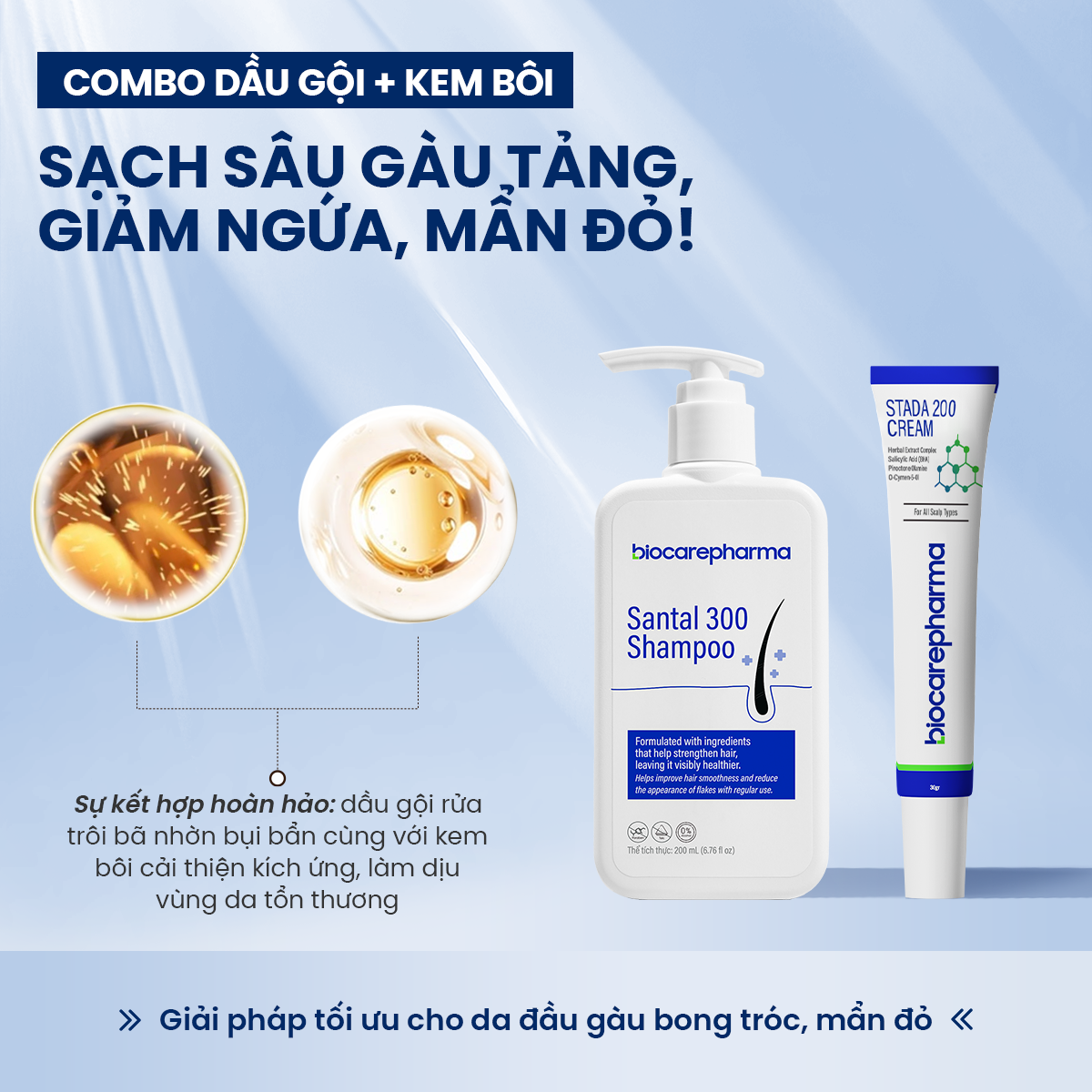 Combo kem và dầu gội hỗ trợ sạch gàu và bong tróc | Biocarepharma.
