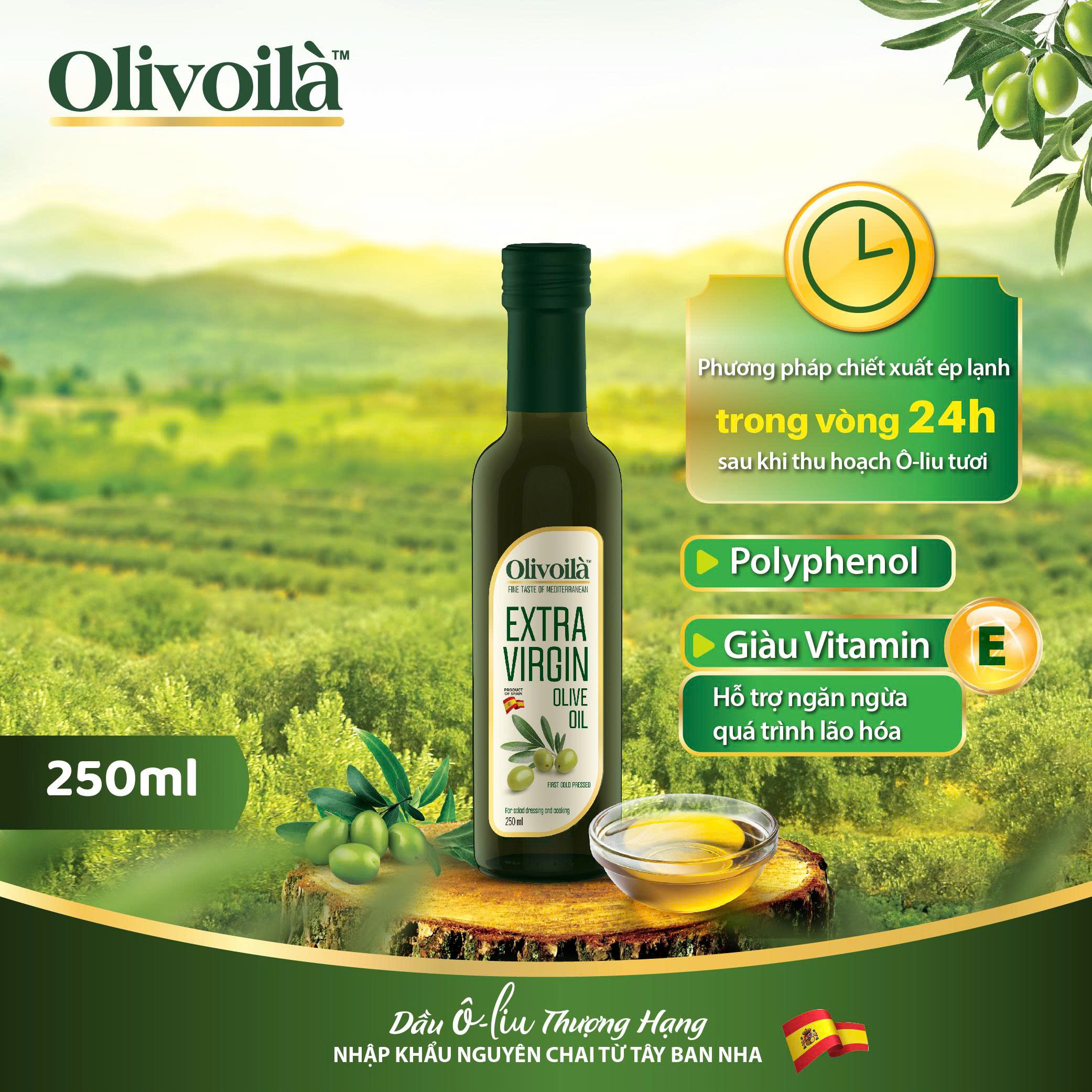 Olive Oil – Ritrovo Italian Regional Foods DAZERO EXTRA VIRGIN