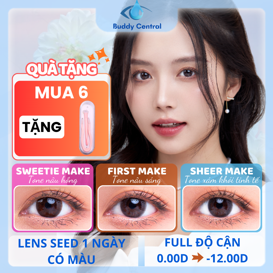 (1 chiếc lẻ) Lens Seed 1 ngày có màu Eye coffret - Sheer, Sweetie ...