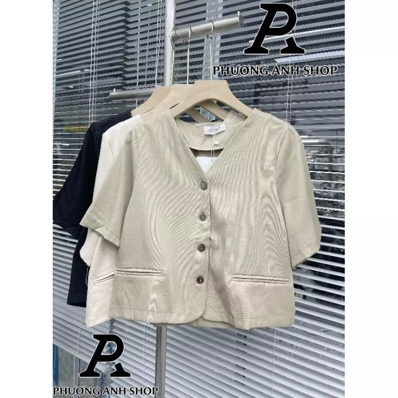 Áo kiểu nữ - Áo cổ V thanh lịch 668