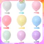 Set 10 Bóng Màu Pastel Trang Trí Tiệc Tùng Sinh Nhật 10Inch Nhiều Màu BB6
