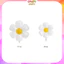 Set Bóng Bay Trang Trí Sinh Nhật Màu Pastel Hoa Cúc Đủ Đồ Tự Làm CANDY10 SK6