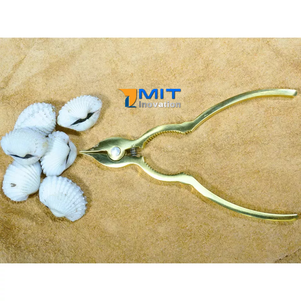 Kềm Tách Sò Huyết Inox Nguyên Khối Cao Cấp - Bảo hành trọn đời (Phiên bản Vàng Đồng)