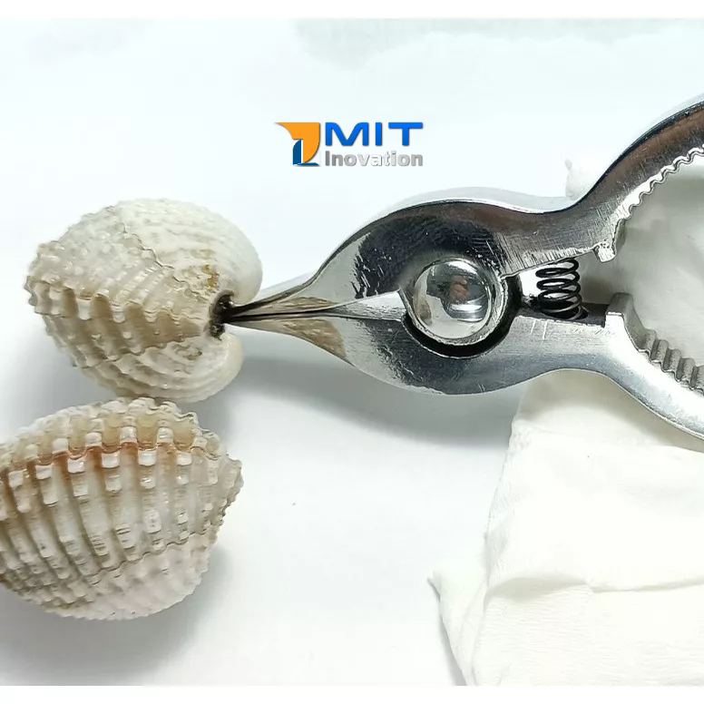 Kềm Tách Sò Huyết Inox Nguyên Khối - Dụng Cụ Tách Sò Huyết  Bảo hành trọn đời (Phiên bản Trắng Bóng)