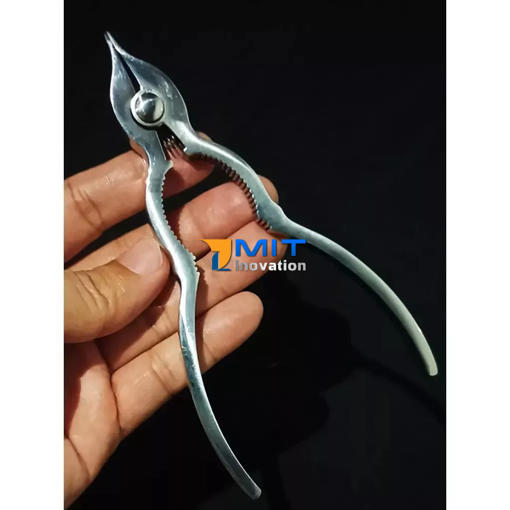 Kềm Tách Sò Huyết Inox Nguyên Khối - Dụng Cụ Tách Sò Huyết  Bảo hành trọn đời (Phiên bản Trắng Bóng)
