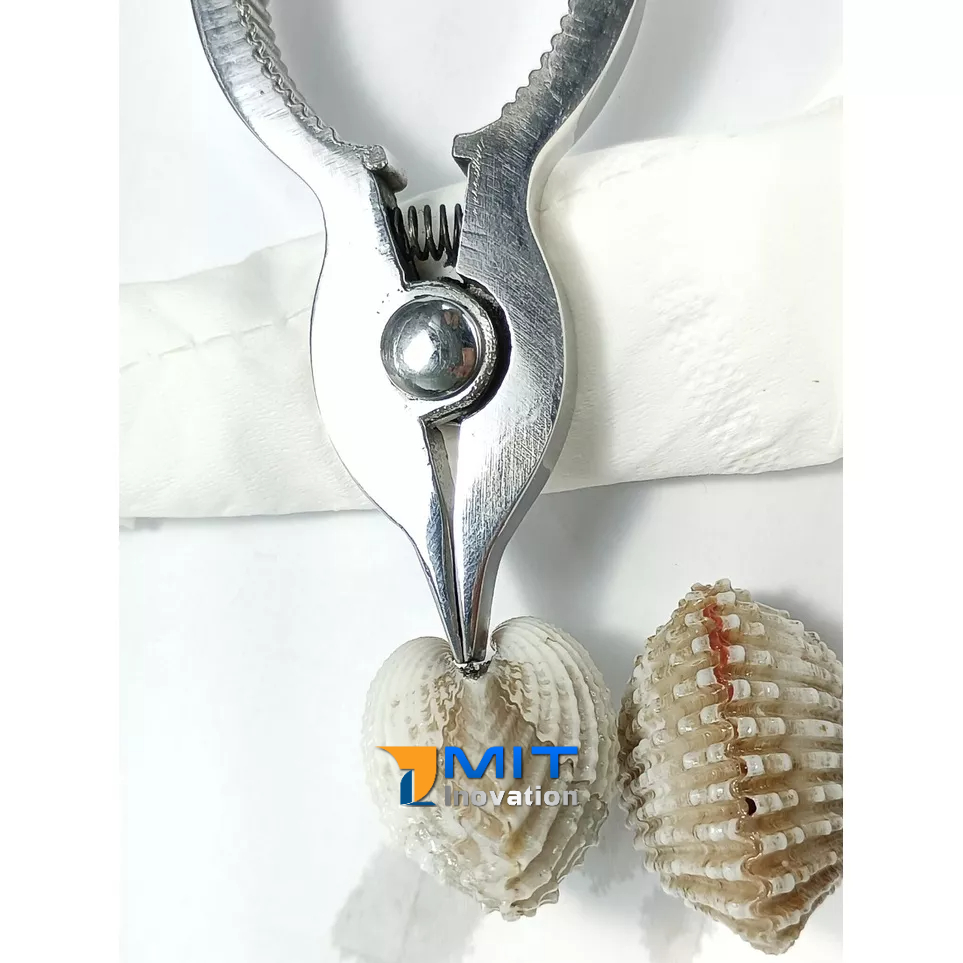 Kềm Tách Sò Huyết Inox Nguyên Khối - Dụng Cụ Tách Sò Huyết  Bảo hành trọn đời (Phiên bản Trắng Bóng)