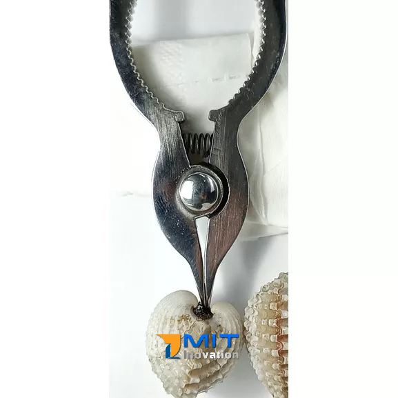Kềm Tách Sò Huyết Inox Nguyên Khối - Dụng Cụ Tách Sò Huyết  Bảo hành trọn đời (Phiên bản Trắng Bóng)