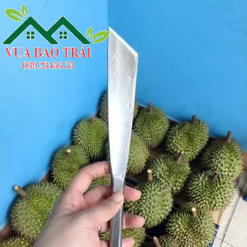 DAO KHUI, NẠY TRÁI SẦU RIÊNG DÀI 25cm INOX NGUYÊN KHỐI CÓ CÁN VUÔNG VÀ ...