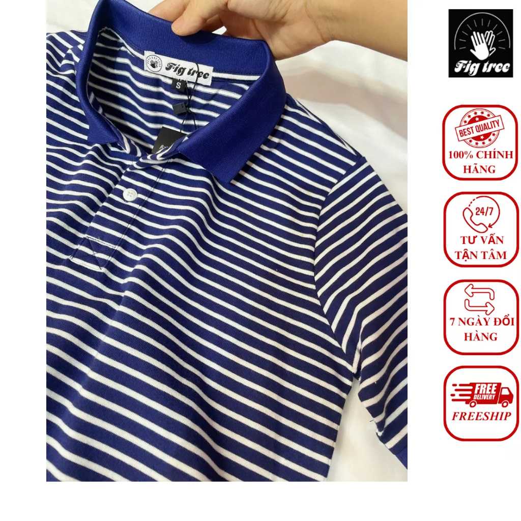 Áo polo nam FIG TREE sọc xanh trắng