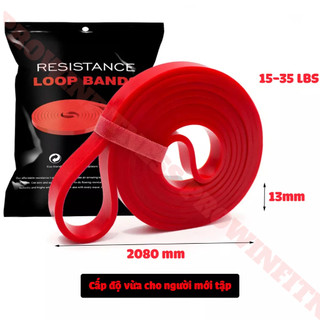Dây kháng lực Power band Prowin Fitness hỗ trợ tập gym, yoga, kéo xà