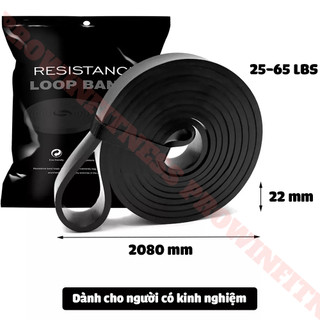 Dây kháng lực Power band Prowin Fitness hỗ trợ tập gym, yoga, kéo xà