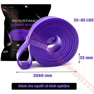 Dây kháng lực Power band Prowin Fitness hỗ trợ tập gym, yoga, kéo xà