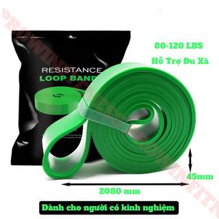 Dây kháng lực Power band Prowin Fitness hỗ trợ tập gym, yoga, kéo xà