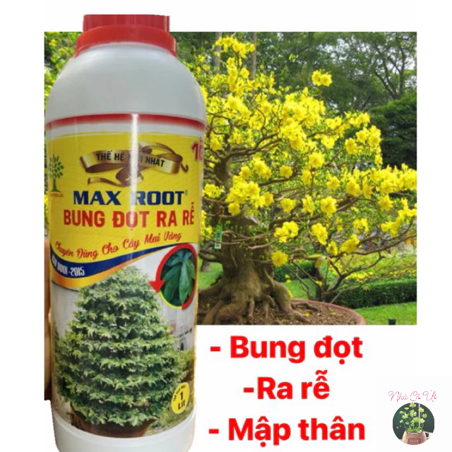 MAX ROOT (1 lít) Bung đọt, Ra rễ, Mập thân Mai vàng | Shopee Việt Nam
