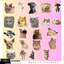 Set 100 Sticker Biểu Tượng Cảm Xúc Mèo Vui Nhộn Meme Chống Nước Dán Laptop Vali Mũ Bảo Hiểm Sổ Tay