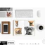 Set 100 Sticker Biểu Tượng Cảm Xúc Mèo Vui Nhộn Meme Chống Nước Dán Laptop Vali Mũ Bảo Hiểm Sổ Tay