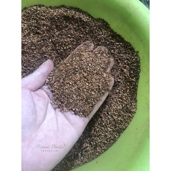 Terrasoil đất trồng terrarium Nhật Bản,đất trồng sen đá và bonsai mini,terarium,giá thể kiểng lá