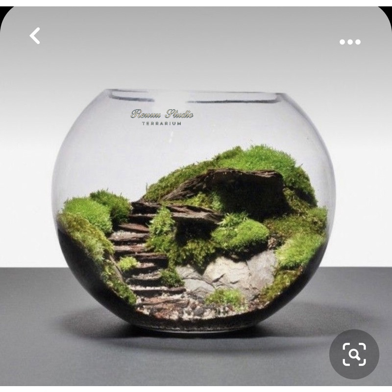 Đá tự nhiên trang trí bậc thang, tiểu cảnh, terarium ,thuỷ sinh bán cạn
