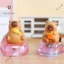Đồ chơi Blind box tượng mô hình kiểu đèn bàn hình chuột lang nước, capybara mini cute ĐÈN CAPYBARA