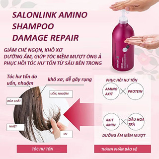 Bộ Dầu Gội, Xả Hoa Trà Phục Hồi Tóc Hư Tổn Salon Link Salonlink Damage & Repair 1000ml Nhật Bản (đỏxnâu)