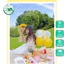 Thảm Dã Ngoại Picnic Hoạt Tiết, Thích Hợp Đi Du Lịch Đi Phượt Chụp Ảnh, Bạt Trải Cắm Trại Gấp Gọn Agnite 3596