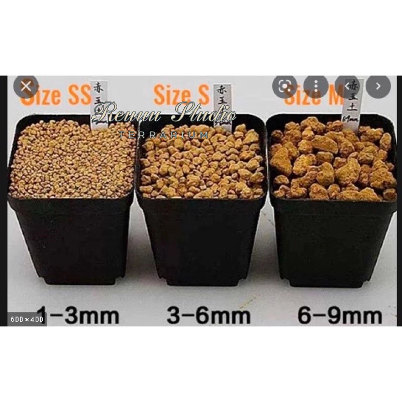 Đất nung nhật bản akadama dùng cho terrarium, tiểu cảnh, bonsai mini, đất trồng sen đá