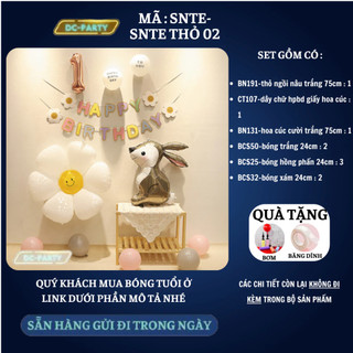 Set trang trí sinh nhật trẻ em SNTE THỎ 02