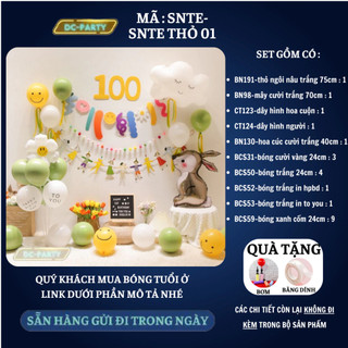 Set trang trí sinh nhật trẻ em SNTE - THỎ 01