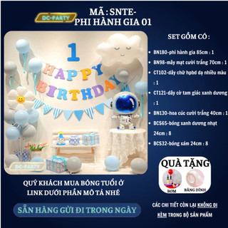 Set trang trí sinh nhật trẻ em SNTE-PHI HÀNH GIA 02