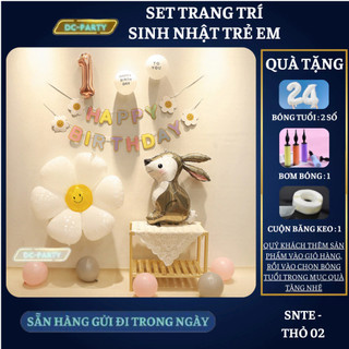 Set trang trí sinh nhật trẻ em SNTE THỎ 02