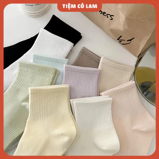 [CỔ VỪA] Tất trơn nam nữ tone pastel [Tiệm vớ cô Lam]