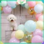 Bóng Bay Pastel Cỡ Đại 45cm Trang Trí Sinh Nhật, Tiệc Cưới, Thôi Nôi, Đầy Tháng, Chụp Ảnh