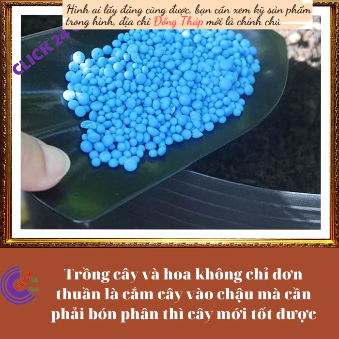 Phân NPK 30-10-10 tách rời 500g từ bao lớn