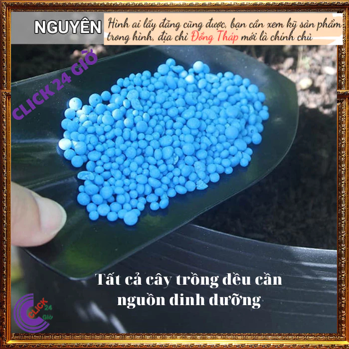Phân bón NPK 30-10-10 chuyên dùng cho hoa và cây cảnh ◾ Hoa Mười Giờ Bonsai & Phụ Kiện