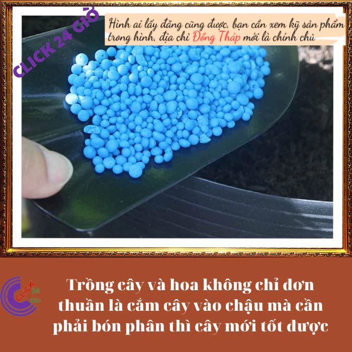 Phân bón NPK 30-10-10 chuyên dùng cho hoa và cây cảnh ◾ Hoa Mười Giờ Bonsai & Phụ Kiện