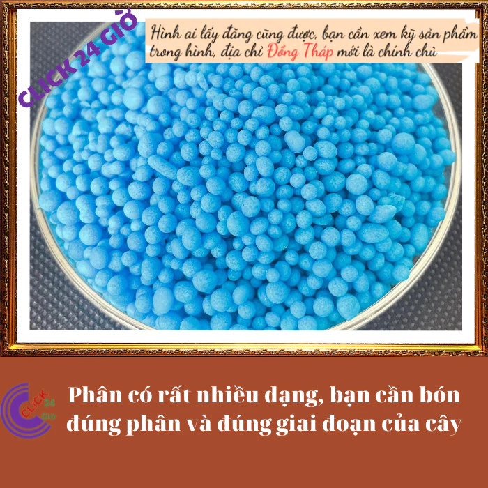 Phân bón NPK 30-10-10 chuyên dùng cho hoa và cây cảnh ◾ Hoa Mười Giờ Bonsai & Phụ Kiện