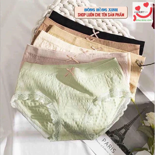 COMBO 10 Quần Lót Nữ Cotton Dệt Kim - Quần Chip Nữ kháng khuẩn thoáng mát đính nơ xinh