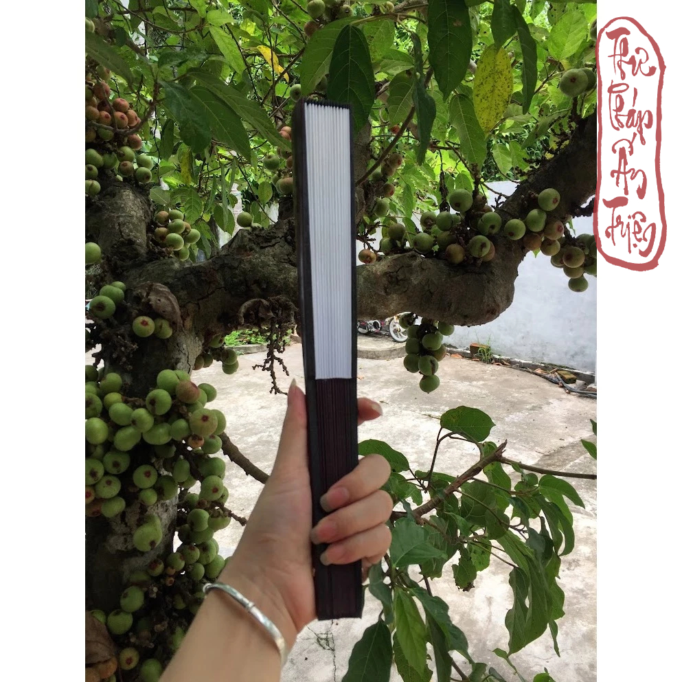 QUẠT XẾP VIẾT CHỮ THƯ PHÁP PHONG CÁCH CỔ TRANG